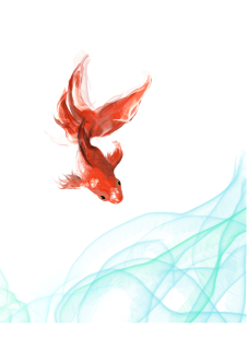 金魚