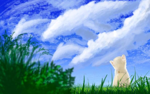 空と猫とファンタジー