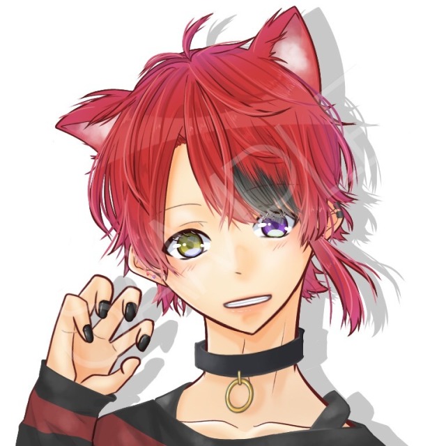 歌い手さんなど