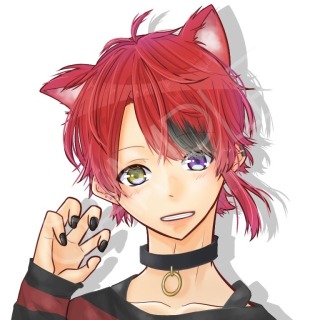 歌い手さんなど