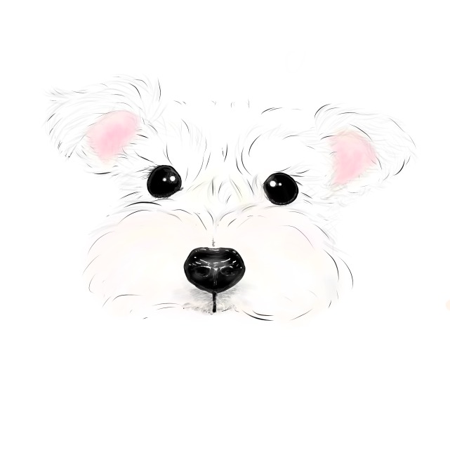 ワンちゃん得意です！