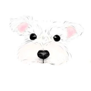 ワンちゃん得意です！