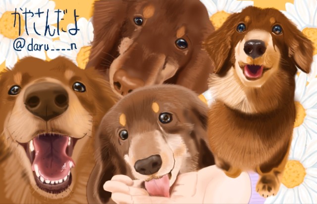 ペット　いぬイラスト