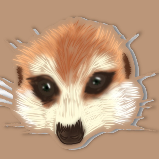 ミーアキャット