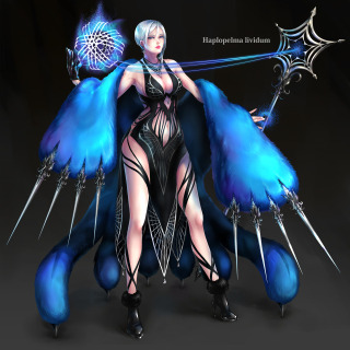 蜘蛛の魔女_タランチュラ