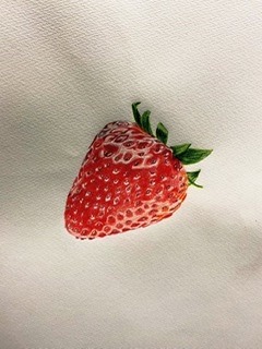 色鉛筆画(静物画)