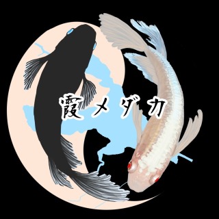 依頼アイコン過去作品