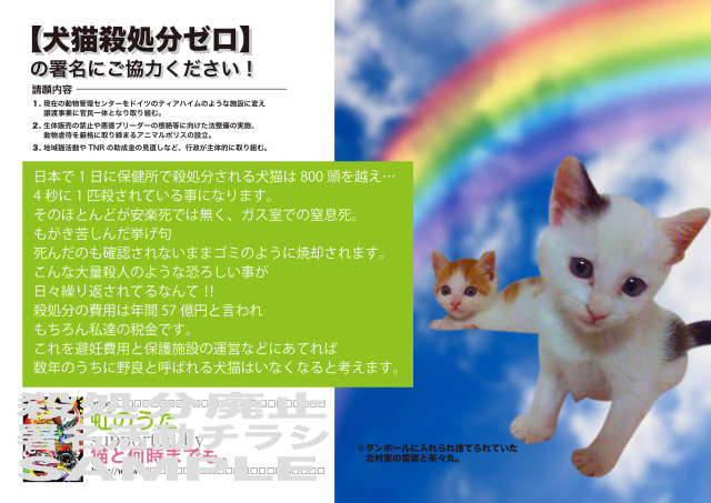 犬猫殺処分廃止の署名運動のチラシです。