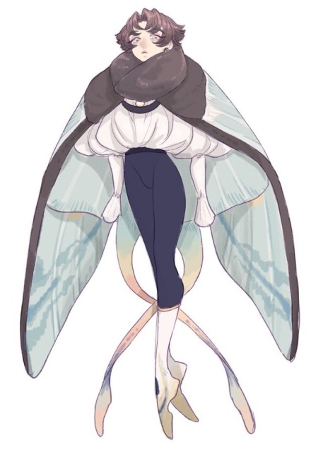 蛾からデザイン