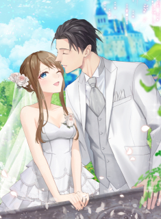 ティーンズラブ小説風表紙