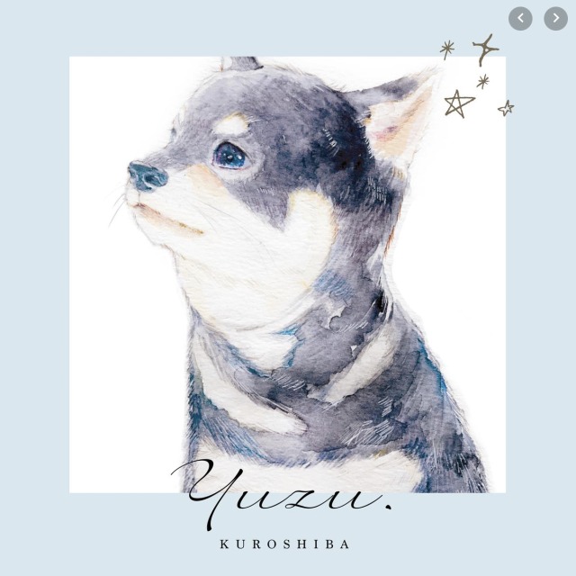 動物やフルーツ