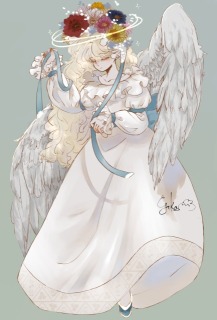 ガーベラ     ヤグルマギク