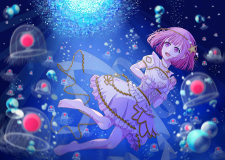 1枚絵　(鳳えむ)