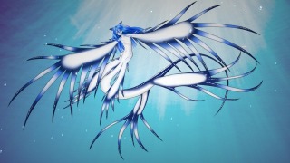 アオミノウミウシ