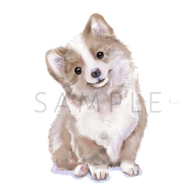 イラスト例になります