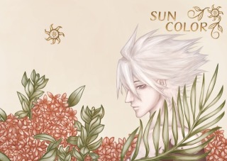 SUN COLOR