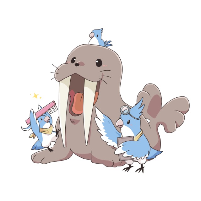 小鳥の虫歯チェック　トド編