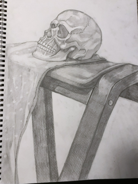 骸骨のデッサン