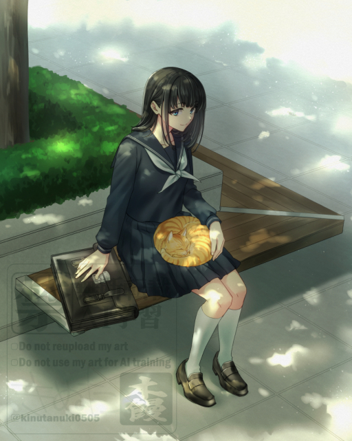 いつも学校帰りに会う猫