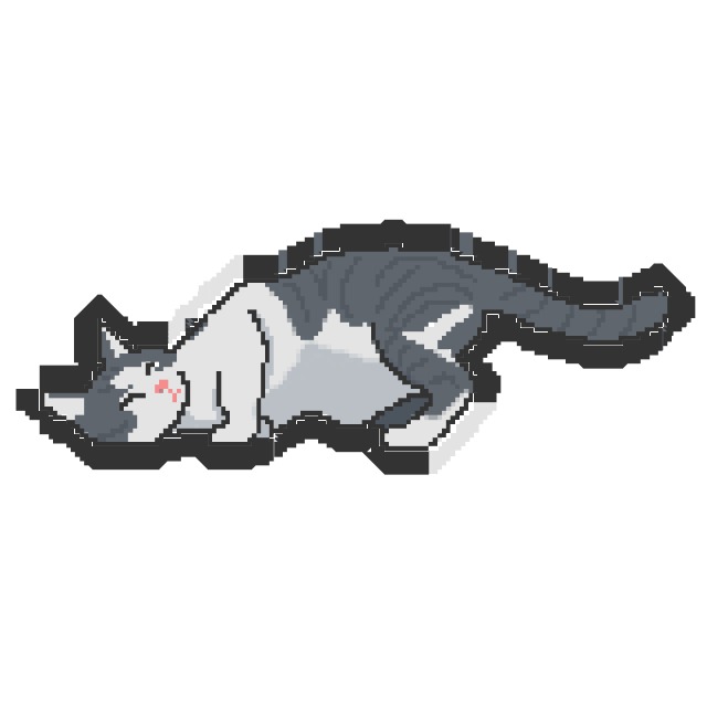 ペットの何気ない日常