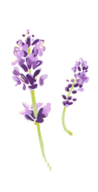 カード作成素材・デザイン素材２