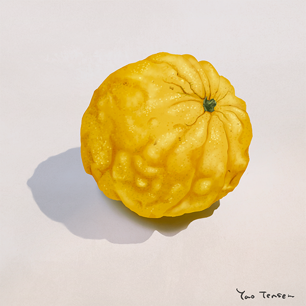 やさいとくだものたち