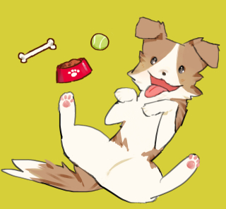 動物のイラスト　自主制作