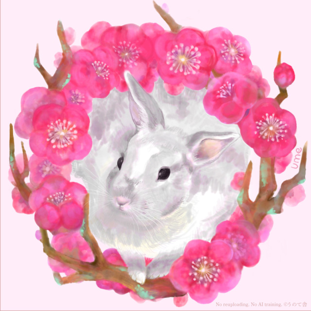 うさコみっしょん参考画像