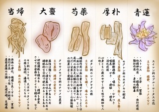 漢方　巻物イラスト