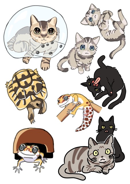 動物イラストサンプル