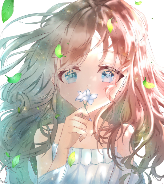 風の吹く丘で