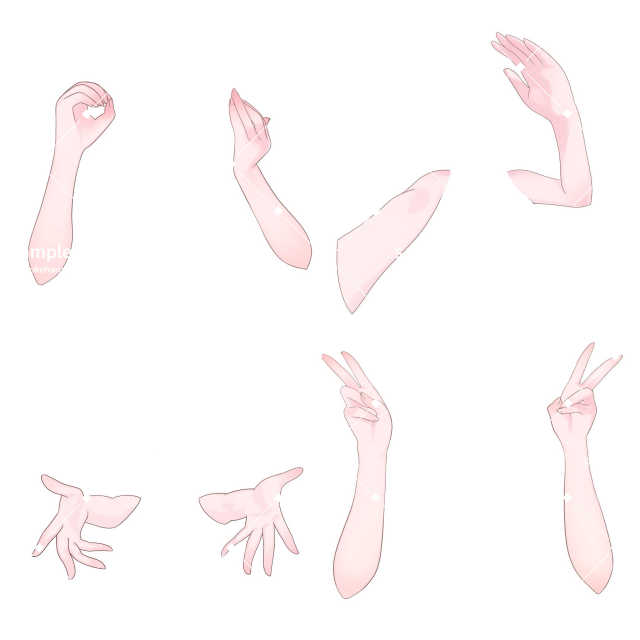 前腕サンプル