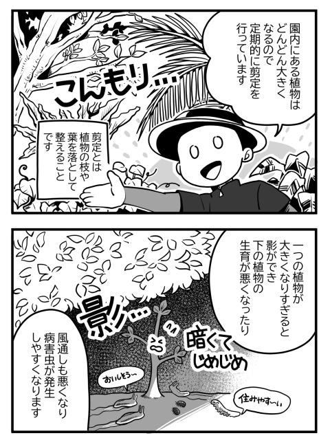 筑波実験植物園　仕事内容紹介漫画