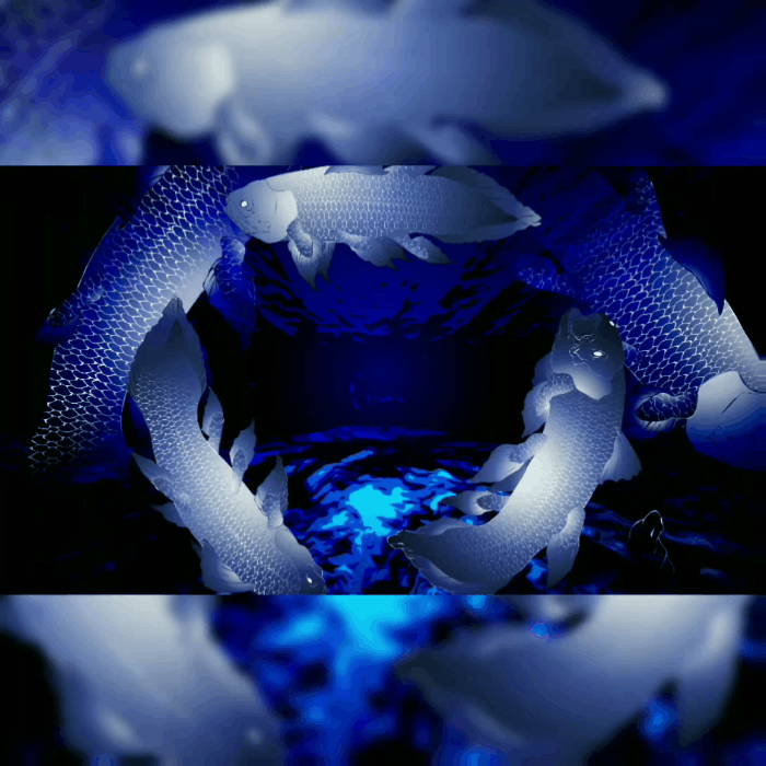 【動画】シーラカンス