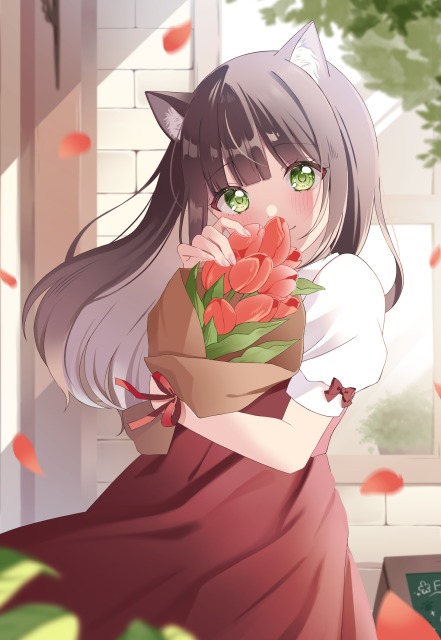 お花屋さんの猫