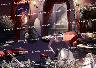 男女一枚絵サンプル