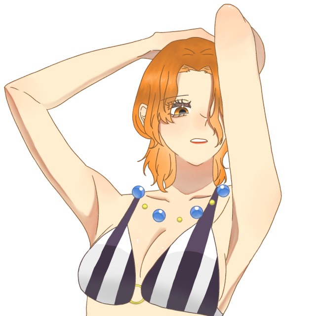 ワンピ背景無し