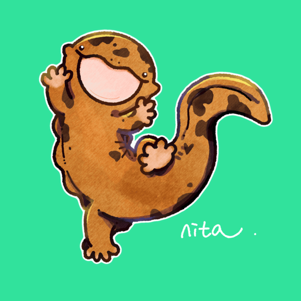 オオサンショウウオ