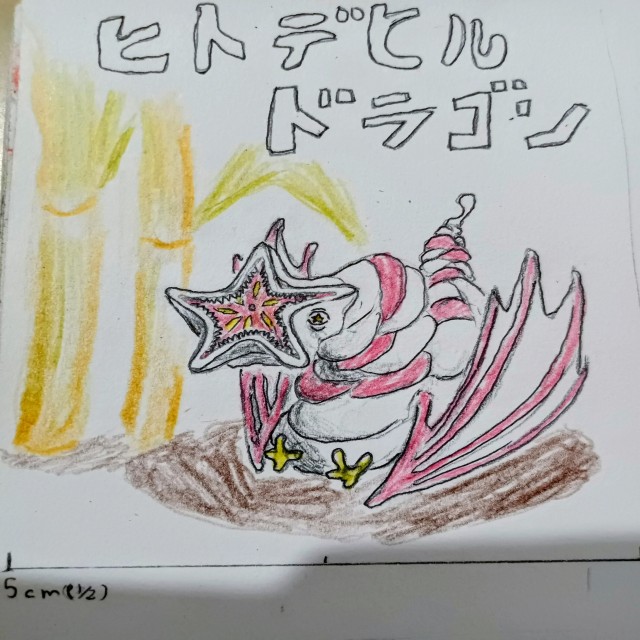 ヒトデヒルドラゴン