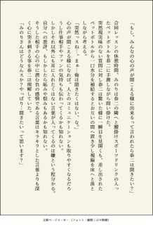 BL小説サンプル