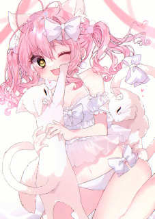 猫と戯れ