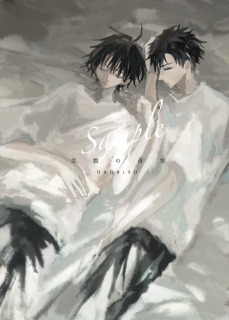 美貌の青空表紙