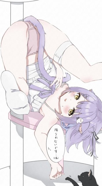 一枚絵(全身)サンプル