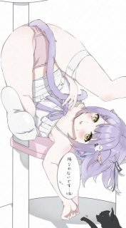 一枚絵(全身)サンプル