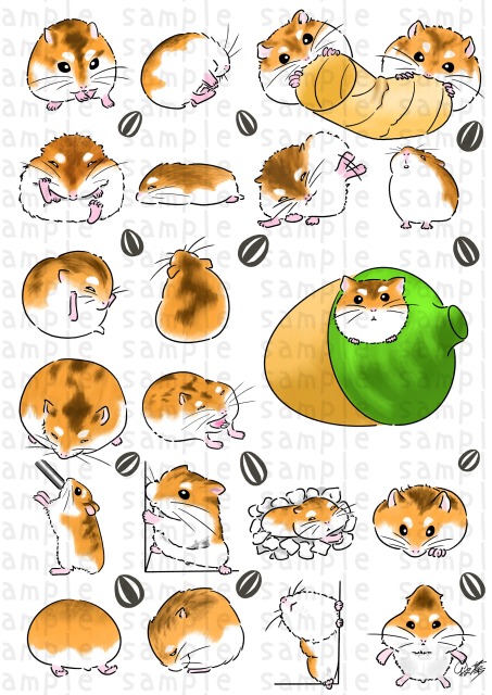 いろんなハムスター