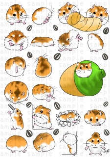 いろんなハムスター