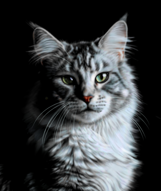 紅あずま猫画集