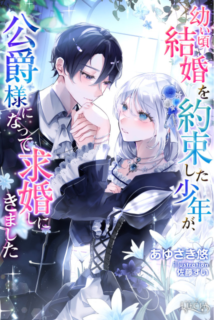 TLノベル 電子書籍 表紙イラスト