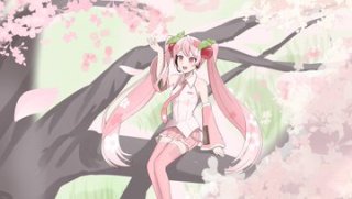 桜ミク