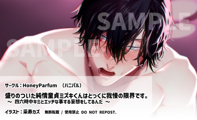 実績◆女性向け音声作品ジャケットイラスト